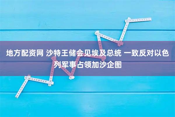 地方配资网 沙特王储会见埃及总统 一致反对以色列军事占领加沙企图