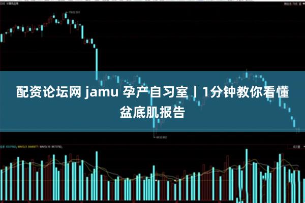 配资论坛网 jamu 孕产自习室丨1分钟教你看懂盆底肌报告