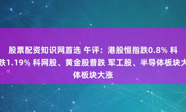 股票配资知识网首选 午评：港股恒指跌0.8% 科指跌1.19% 科网股、黄金股普跌 军工股、半导体板块大涨