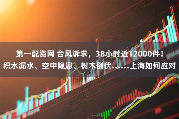 第一配资网 台风诉求，38小时近12000件！积水漏水、空中隐患、树木倒伏……上海如何应对